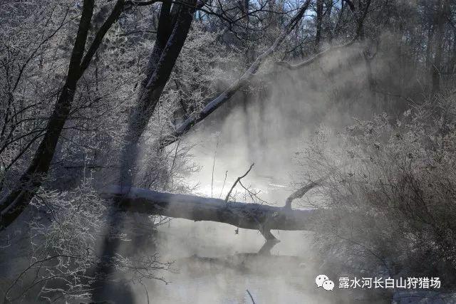 超级机器人战斗4