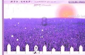 营口代表团继续审议省政府工作报告
