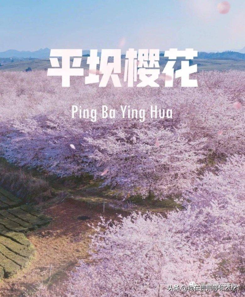 逃离金色的沙漠