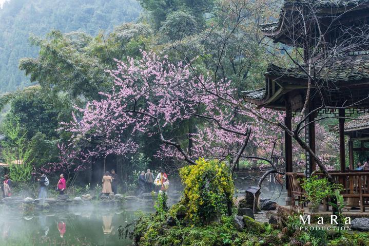 凶猛的洪水