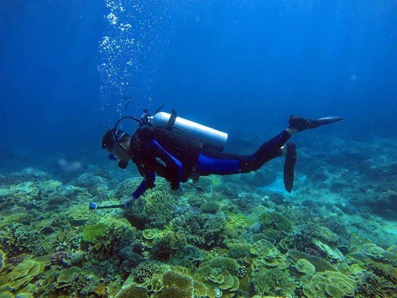 “龙经济”热度狂飙，联名周边炙手可热，海外订单激增