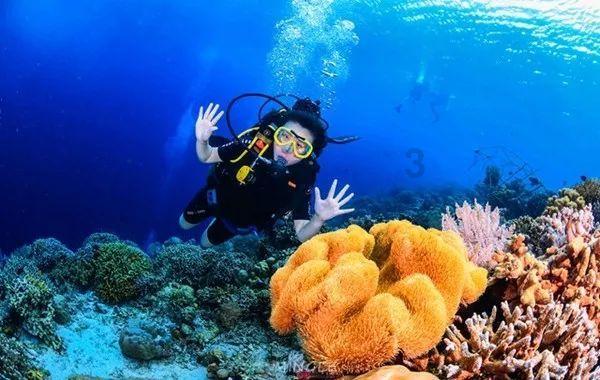 2024CBA全明星赛阵容官宣 山西汾酒男篮球员张宁入选