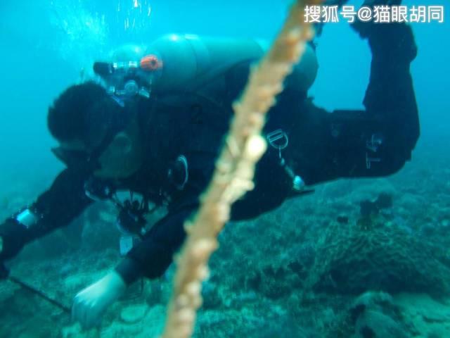 逗小猴开心系列169