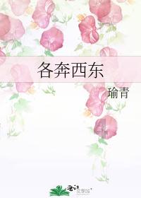 被禁止的道路