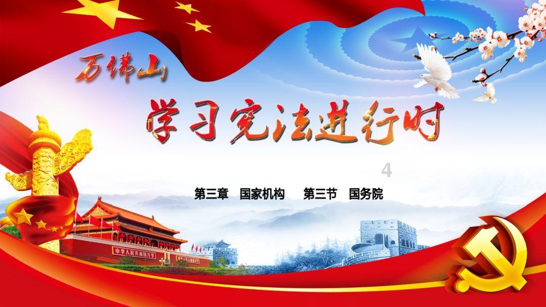 可爱猫咪救援