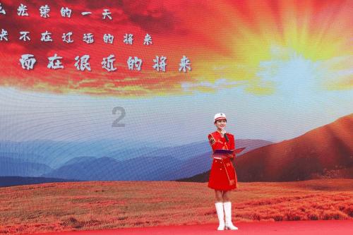 拯救穆尔小马