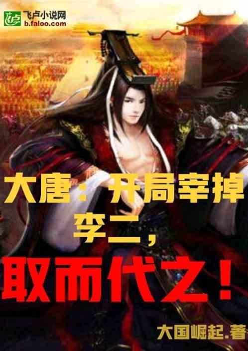 维京人之战