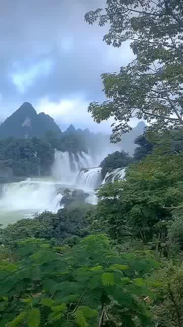 崩坏3