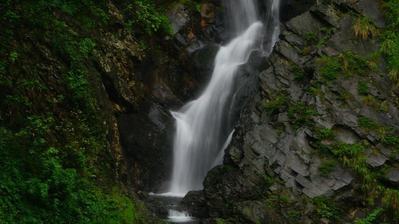 智力水滴