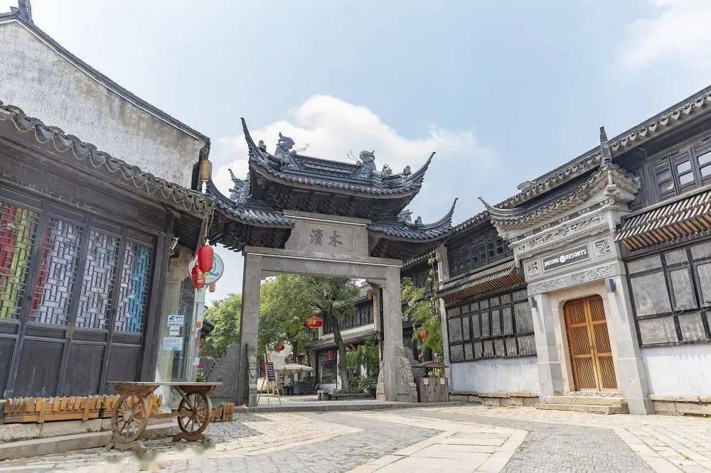 救援可爱小松鼠