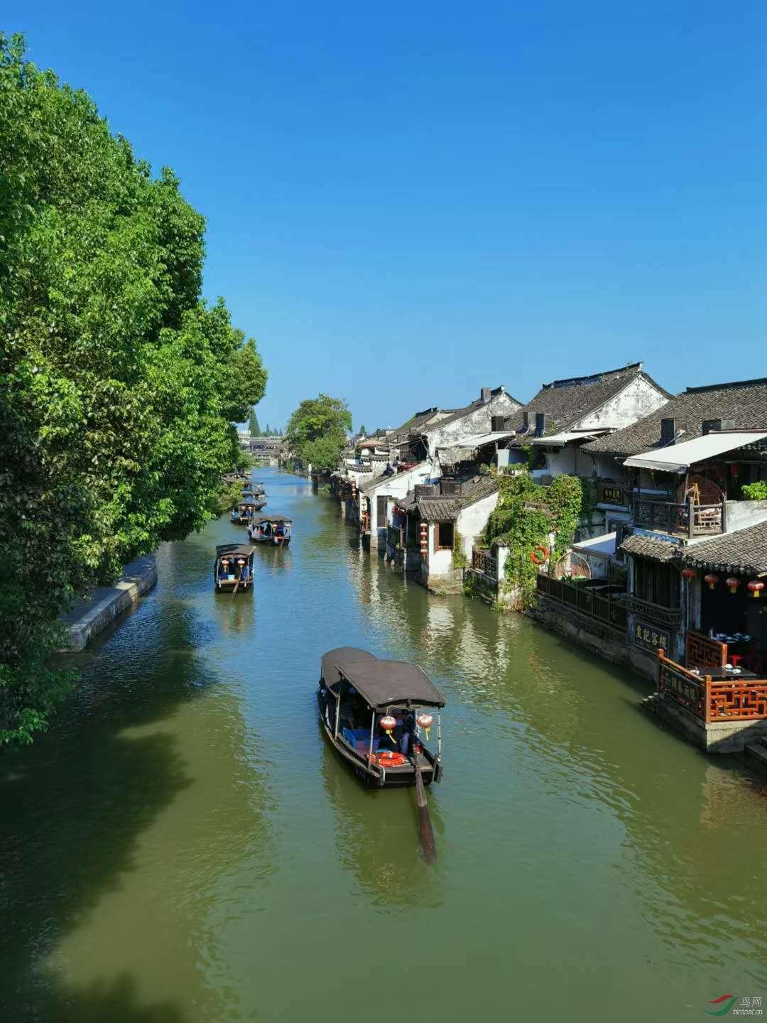 现代战争防御战无敌版