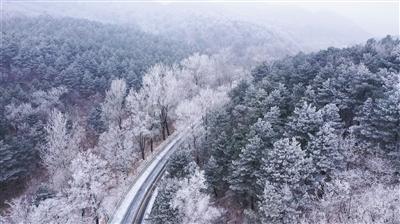 A股重磅利好,这两个会议释放强烈信号!